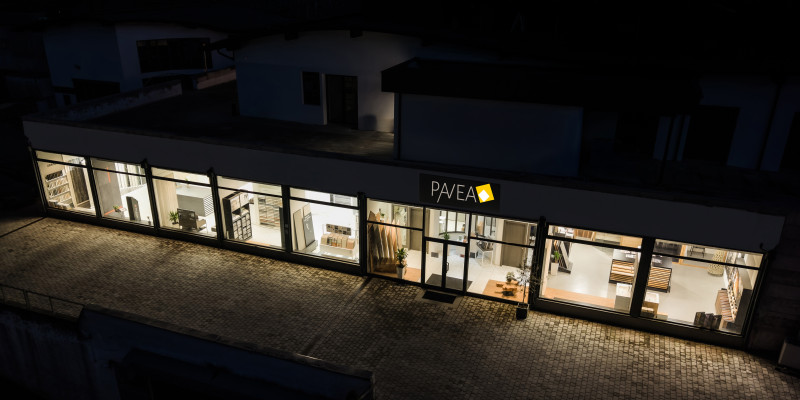 www.pavea.it